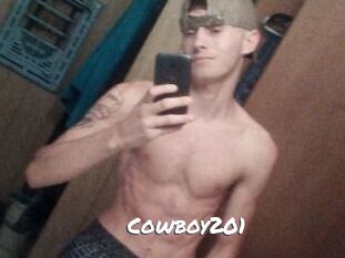 Cowboy201
