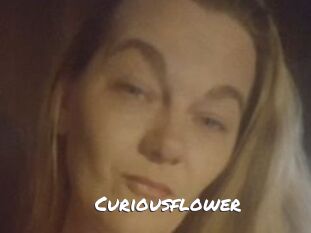 Curiousflower