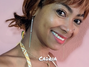 cadria Ochranne Siete