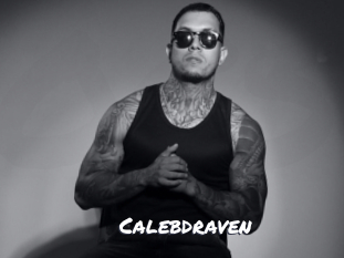 calebdraven Ochranne Siete