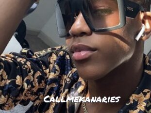 Callmekanaries