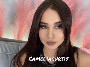 Cameliacurtis