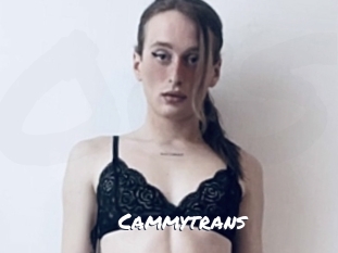 Cammytrans