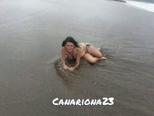 Canariona23