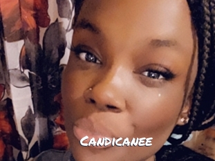 Candicanee