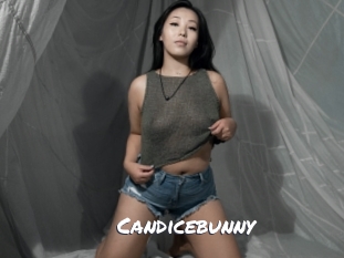 Candicebunny