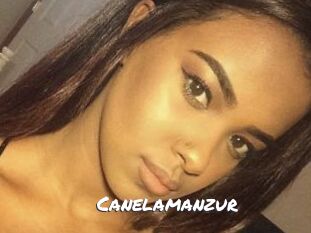 Canelamanzur