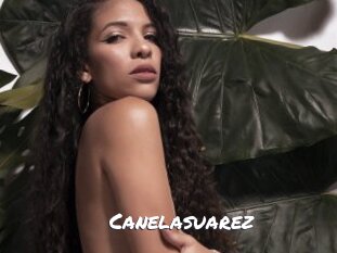 Canelasuarez