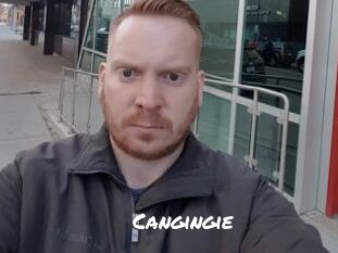 Cangingie