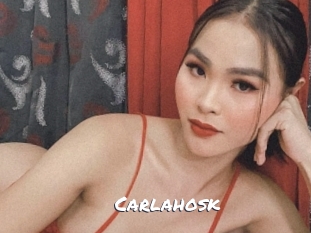 carlahosk Ochranne Siete