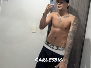 carlesbig Ochranne Siete