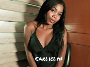 carlielyn Ochranne Siete