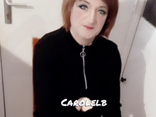 carolelb Ochranne Siete
