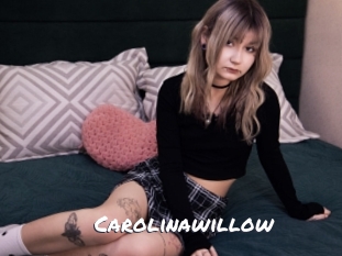 Carolinawillow
