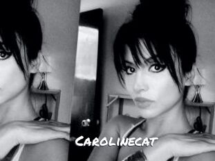 Carolinecat