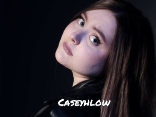caseyhlow Ochranne Siete