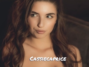 cassiecaprice Ochranne Siete