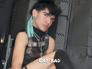 Cat_bad