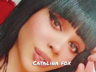 Catalina_fox