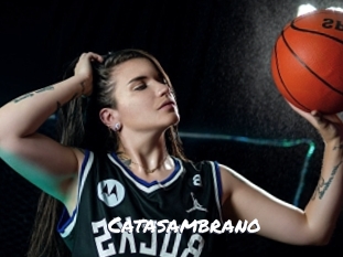 Catasambrano