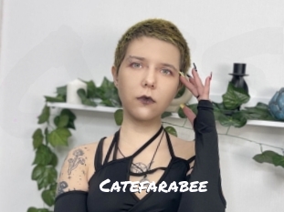 Catefarabee