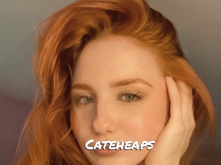 Cateheaps