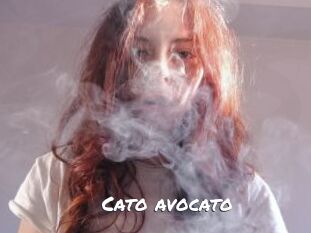 Cato_avocato