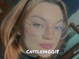 Cattleya0018