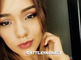 Cattleyacandy