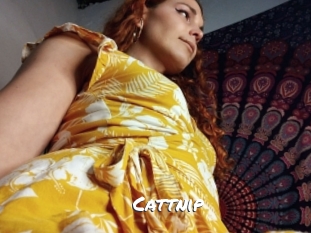 Cattnip