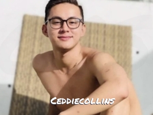 ceddiecollins Ochranne Siete