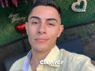 Cegavoy
