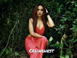 celinehest Ochranne Siete