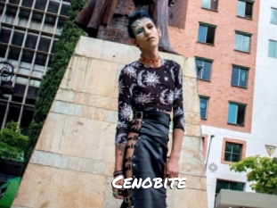 cenobite Ochranne Siete