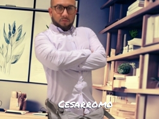 cesarromo Ochranne Siete