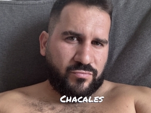 Chacales