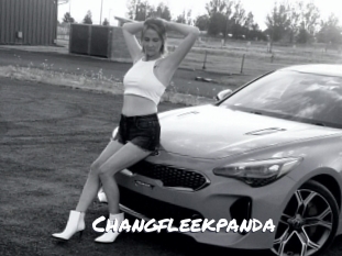 Changfleekpanda