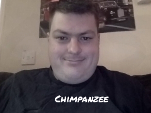 Chimpanzee
