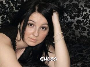 chleo Ochranne Siete