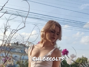 Chloecolts