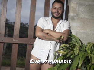 christianhadid Ochranne Siete