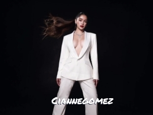 ciannegomez Ochranne Siete