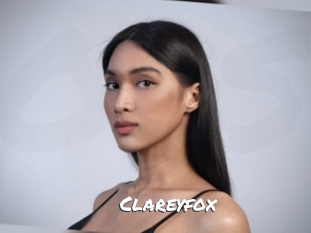 clareyfox Ochranne Siete