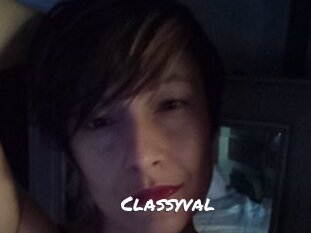 classyval Ochranne Siete