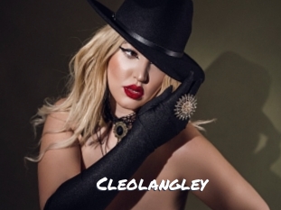 cleolangley Ochranne Siete