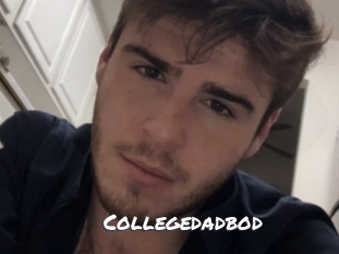 Collegedadbod