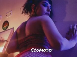 Cosmosis