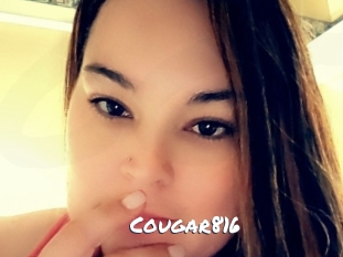 Cougar816