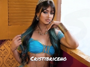 cristibriceno Ochranne Siete
