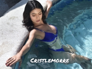 cristlemorre Ochranne Siete